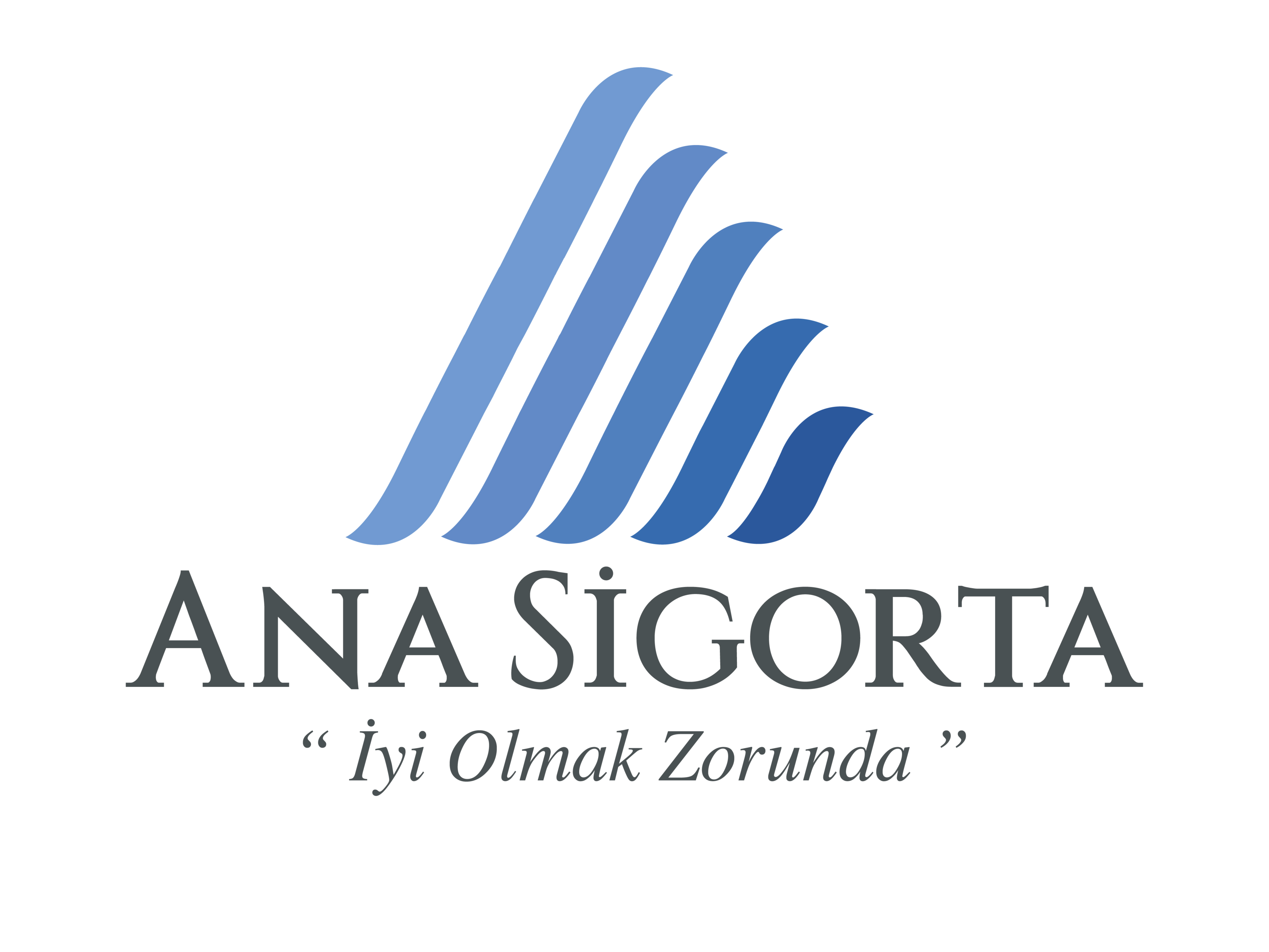 ANA SİGORTA (TSS)
